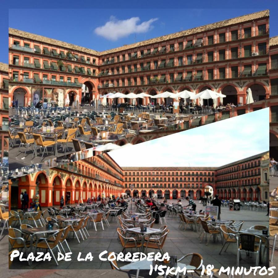 Tati Flat - "Parking Facil" Lejlighed Córdoba Eksteriør billede